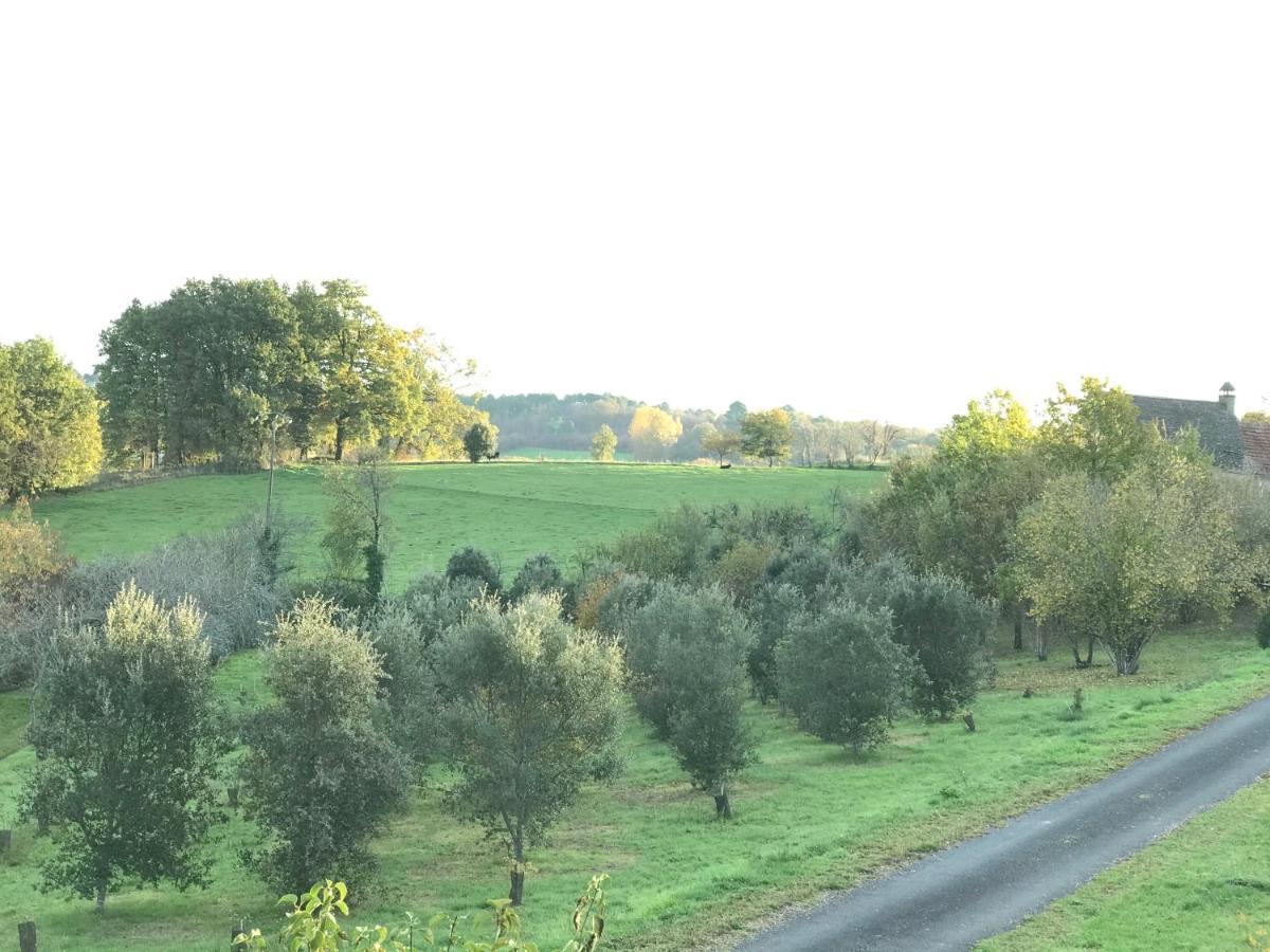 Les Cedres Du Linard, Chambres D'Hotes B&B Near Lascaux, Montignac, Sarlat-La-Caneda, Dordogne La Chapelle-Aubareil Екстериор снимка