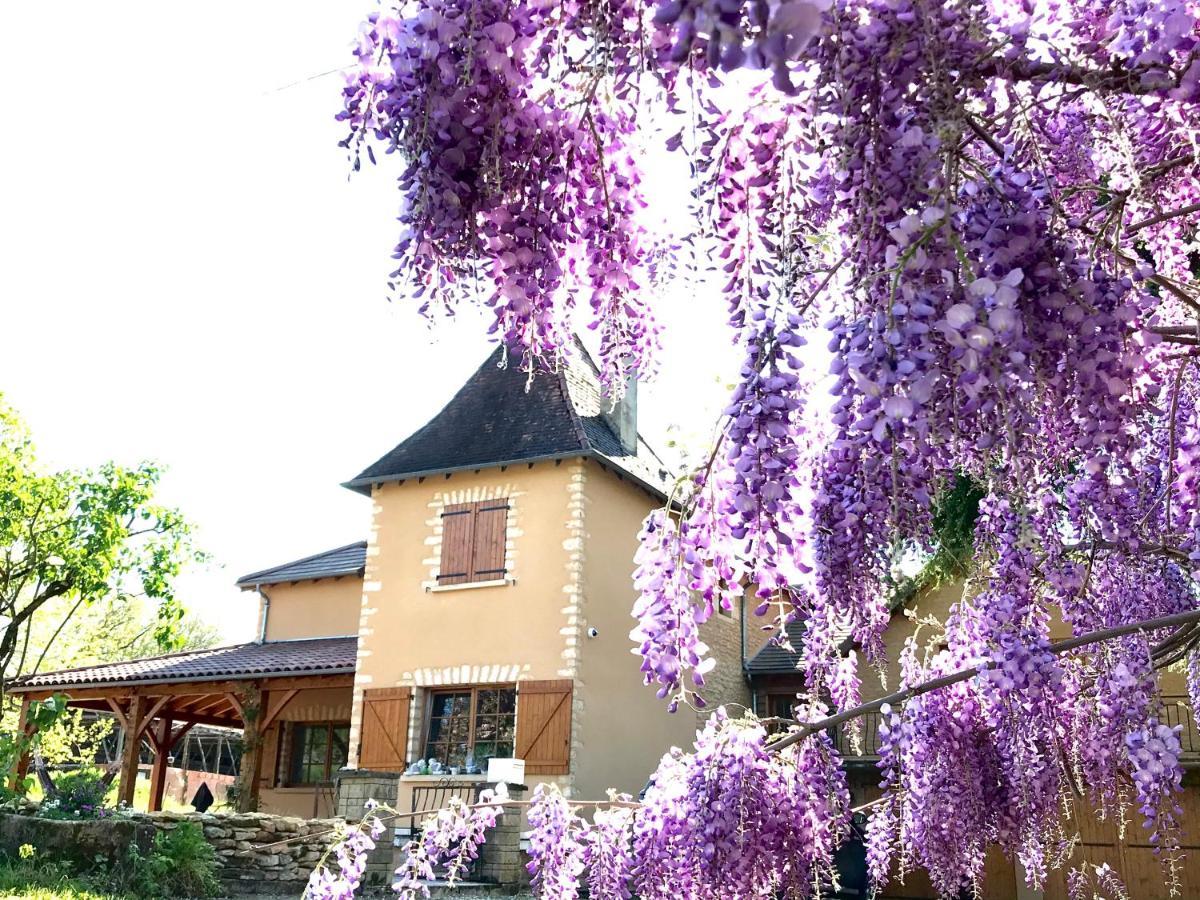 Les Cedres Du Linard, Chambres D'Hotes B&B Near Lascaux, Montignac, Sarlat-La-Caneda, Dordogne La Chapelle-Aubareil Екстериор снимка