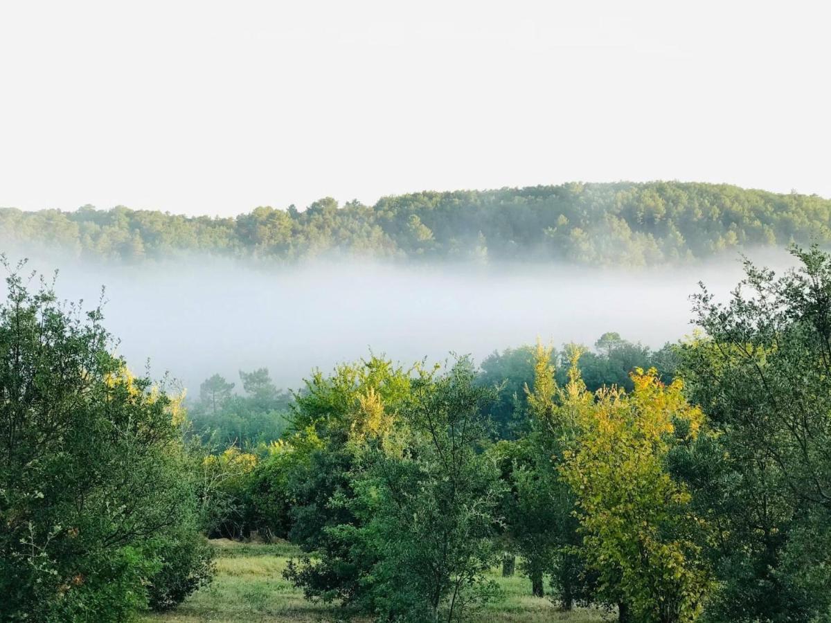 Les Cedres Du Linard, Chambres D'Hotes B&B Near Lascaux, Montignac, Sarlat-La-Caneda, Dordogne La Chapelle-Aubareil Екстериор снимка
