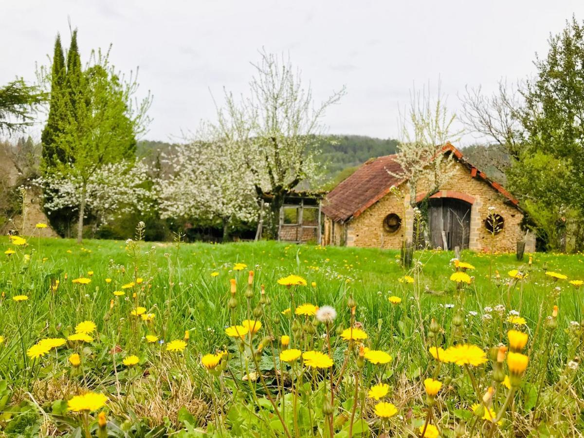 Les Cedres Du Linard, Chambres D'Hotes B&B Near Lascaux, Montignac, Sarlat-La-Caneda, Dordogne La Chapelle-Aubareil Екстериор снимка