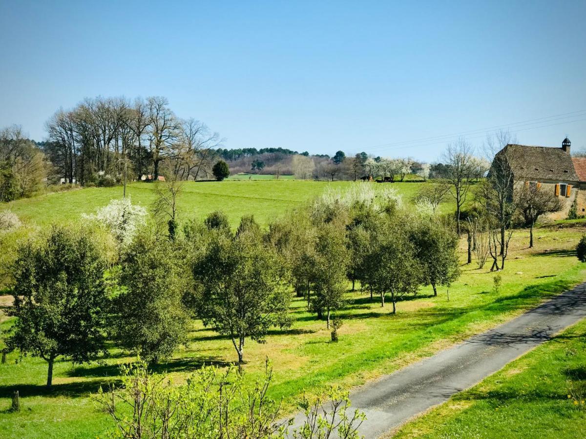 Les Cedres Du Linard, Chambres D'Hotes B&B Near Lascaux, Montignac, Sarlat-La-Caneda, Dordogne La Chapelle-Aubareil Екстериор снимка
